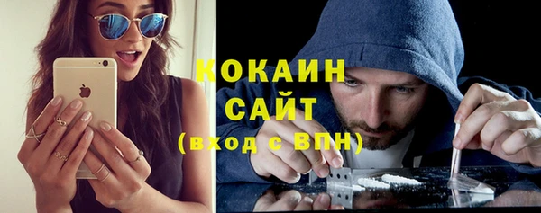 прущие грибы Белокуриха