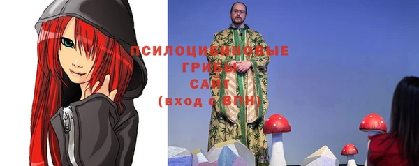прущие грибы Белокуриха