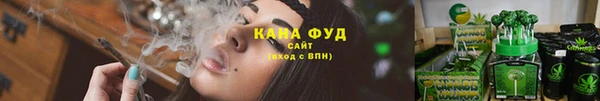 гидра Белоозёрский