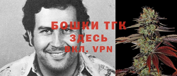 прущие грибы Белокуриха