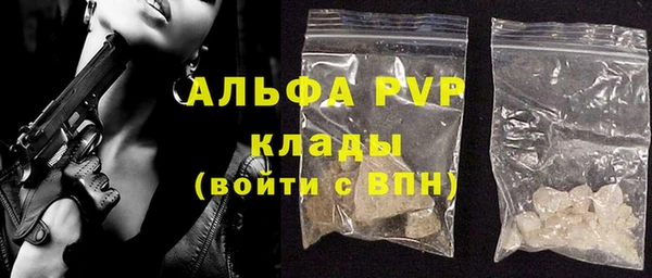 прущие грибы Белокуриха