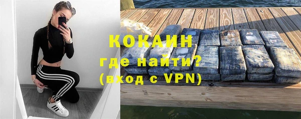 прущие грибы Белокуриха