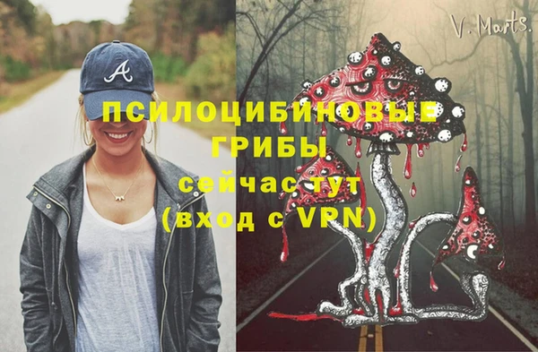 спиды Сафоново